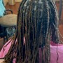 Senegalese Twist Large