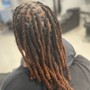 Starter Locs (read description)