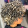 Root Touch Up