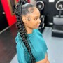 Sleek Extended Ponytail [Single Braid or Extended]