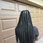 Box Braids over hand