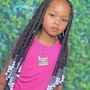 Small Box Braids