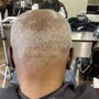 Root Touch Up