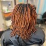 Root Touch Up