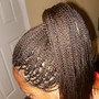 Poetic Justice Braids