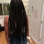 Blowout- mid back/ waist length