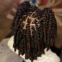 Faux Locs , Nubian Twist  , Passion Twist , Marley or Kinky Twist