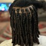 Faux Locs , Nubian Twist  , Passion Twist , Marley or Kinky Twist