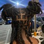 Starter locs