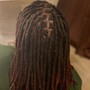 Starter Locs