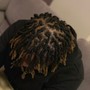 Starter Locs