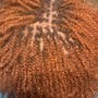 At home Natural Twists two strand twist