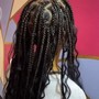 Medium Box Braids