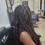 Havana Twists