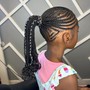 Small Braided Ponytail