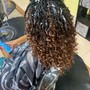 Root Touch Up