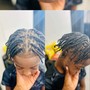 Fed ins/ Lemonade Braids