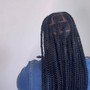 Fulani tribal braids