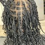 Senegalese Twist (Large)