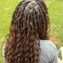 Natural Twists