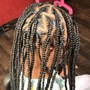 Kid's Braids/please contact me before booking