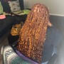 Invisible locs (mid back)