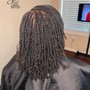 Traditional Starter Locs