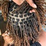 Mini Twists