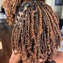 Mini Twists