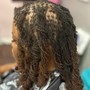 Loc Detox w/ Retwist and Two-Strand Twists