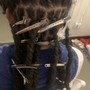 Starter Locs