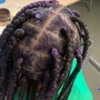 Starter Locs