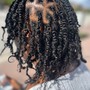 Mini Twists