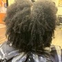 Silk Press (Natural Hair)