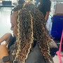 Crochet ( Braids, Twist, Locs)