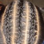 Large braided pony