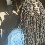 Goddess Twists