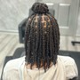 Boho braids with natural hair ( option of steam treatment or trim included )