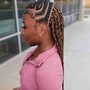 Braided Ponytail or Large Cornrows