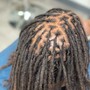 Starter Locs