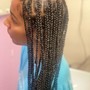 Box Braids