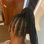 Feed In Braids