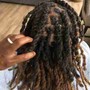 Loc Maintenance