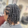 Single Braids ( no hair added)