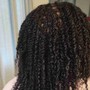 Individual Mini Twists w/Extensions