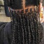 Individual Mini Twists w/Extensions