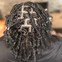 Starter Locs