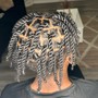 Starter Dreadlocks