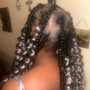 Medium Braids over Locs