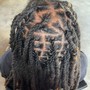 Starter Locs